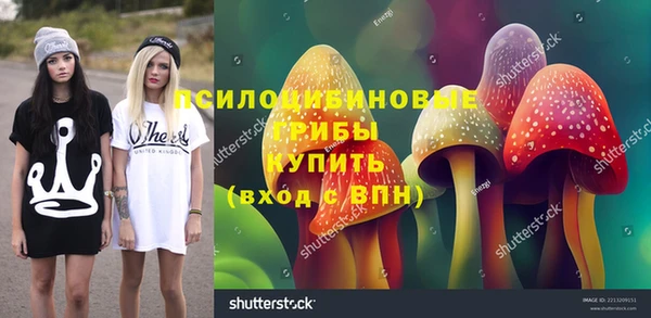 тгк Гусь-Хрустальный