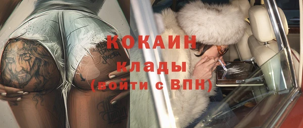 прущие грибы Протвино