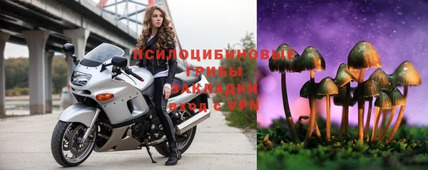 тгк Горняк