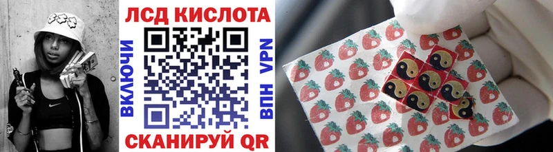 Купить где  Кукмор  Марки NBOMe 1,8мг 
