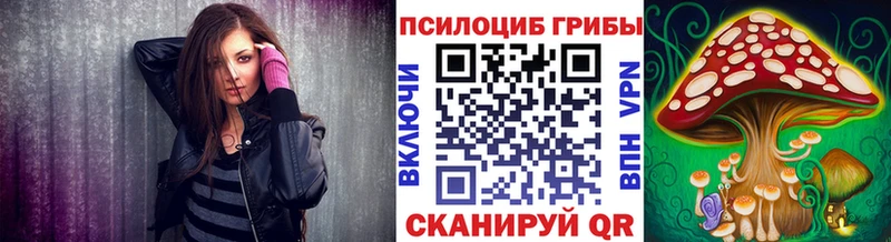 Галлюциногенные грибы Cubensis  Купить  Кукмор 